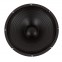 P-Audio EM15-LB300